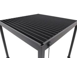 Cedrino Pergola 300x300x255cm