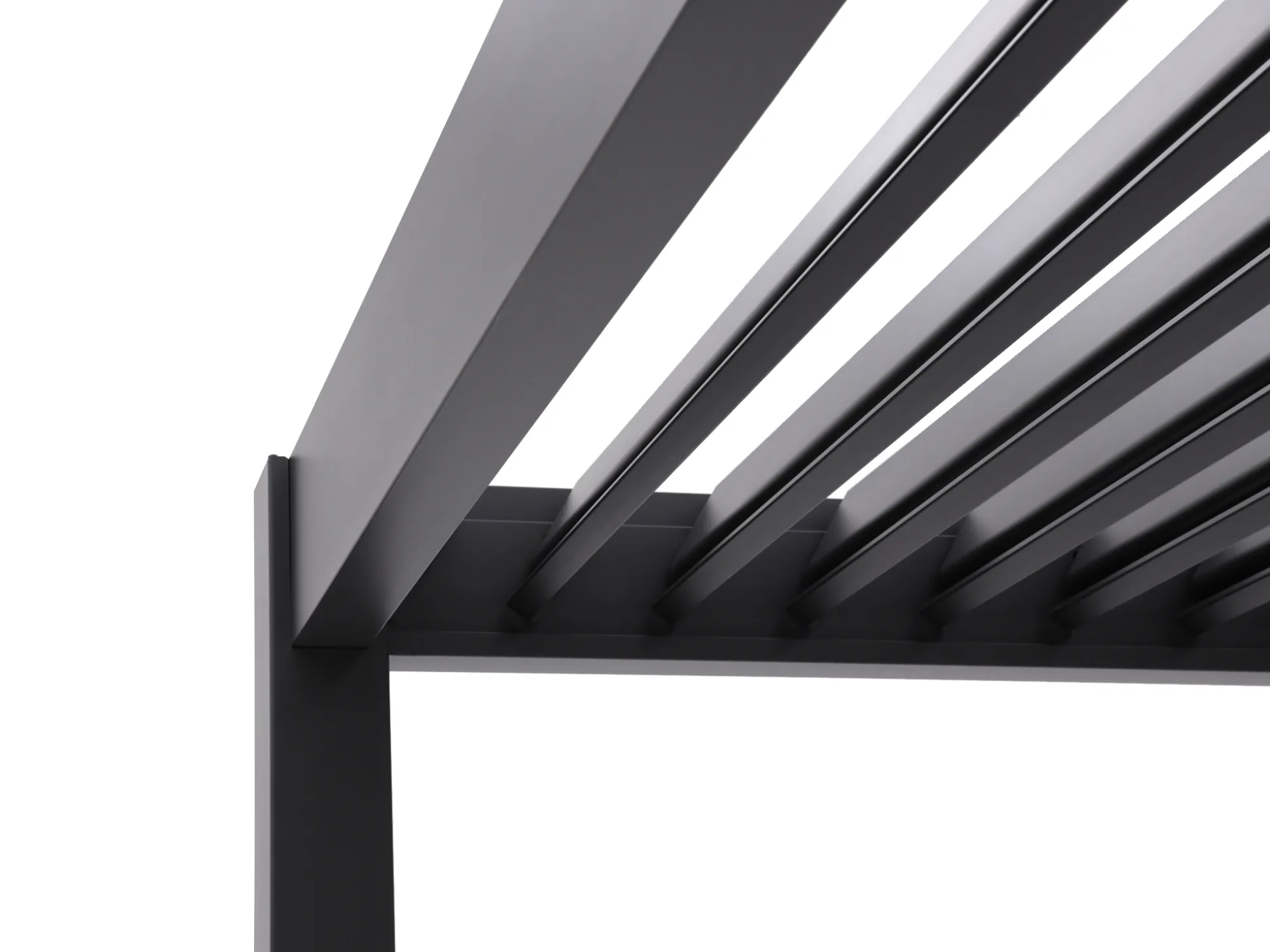 Cedrino Pergola 530x360x255cm incl. Berging 360x200cm