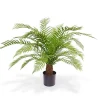 Designplants Alsophillia varen kunstplant (h:80cm)