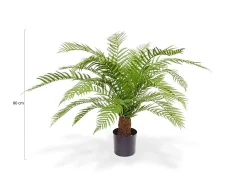 Designplants Alsophillia varen kunstplant (h:80cm)