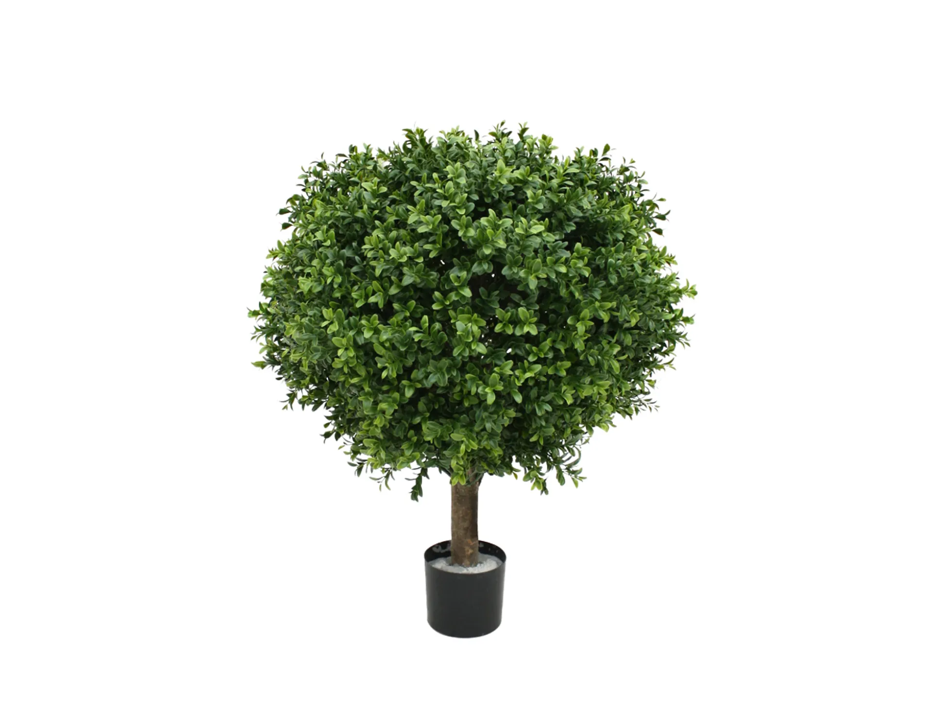 Designplants Buxus bol kunstplant (h:50cm)