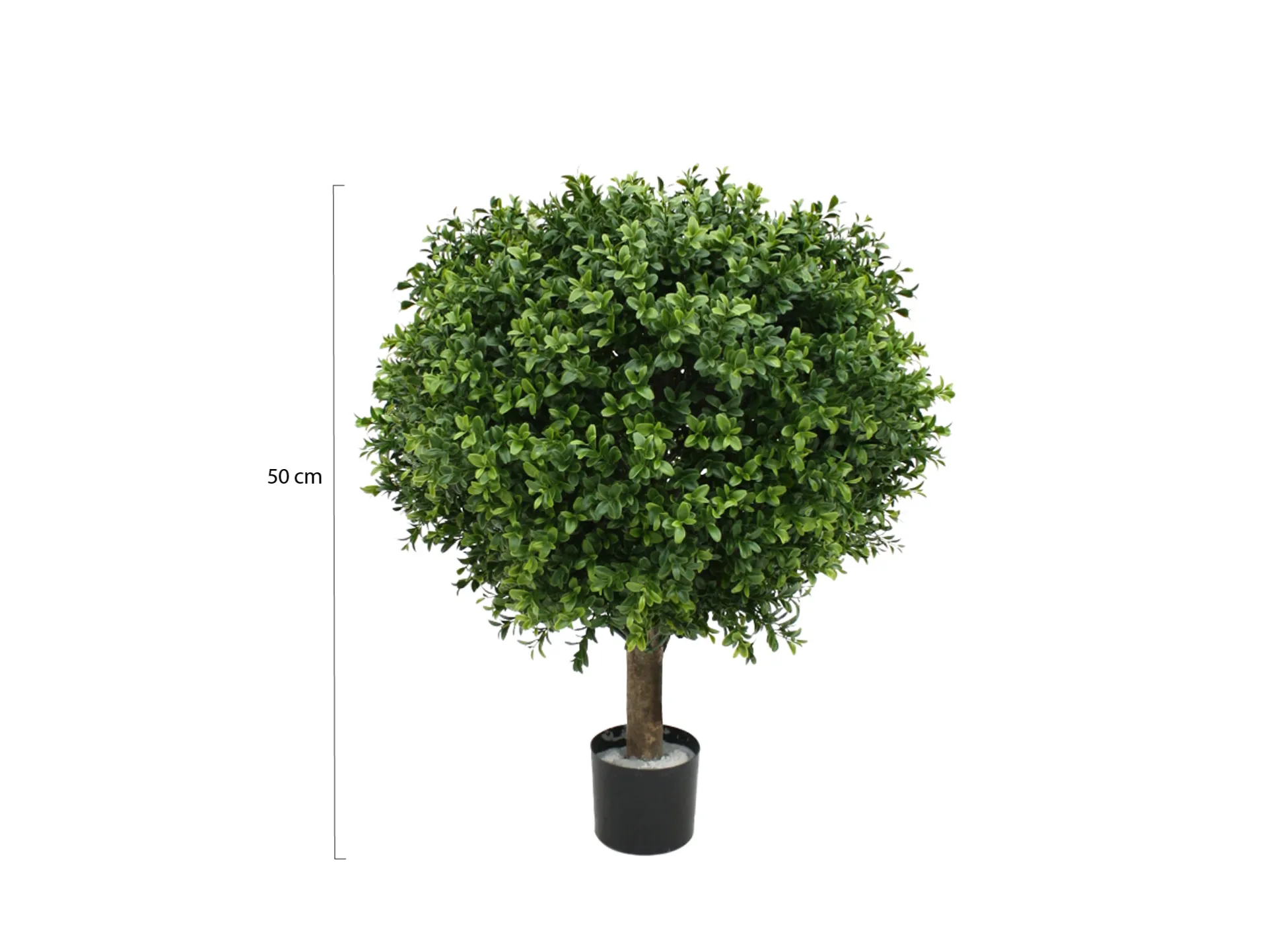 Designplants Buxus bol kunstplant (h:50cm)