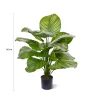Designplants Calathea Fasciata kunstplant (h:70cm)