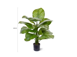 Designplants Calathea Fasciata kunstplant (h:70cm)