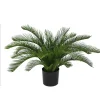 Designplants Cycas palm kunstplant (h:60cm)