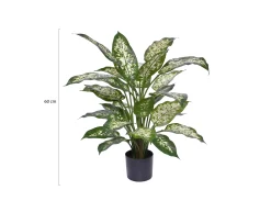 Designplants Dieffenbachia kunstplant (h:60cm)