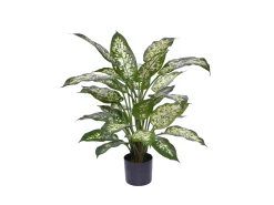 Designplants Dieffenbachia kunstplant (h:60cm)