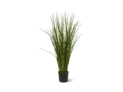Designplants Gras kunstplant (h:80cm)