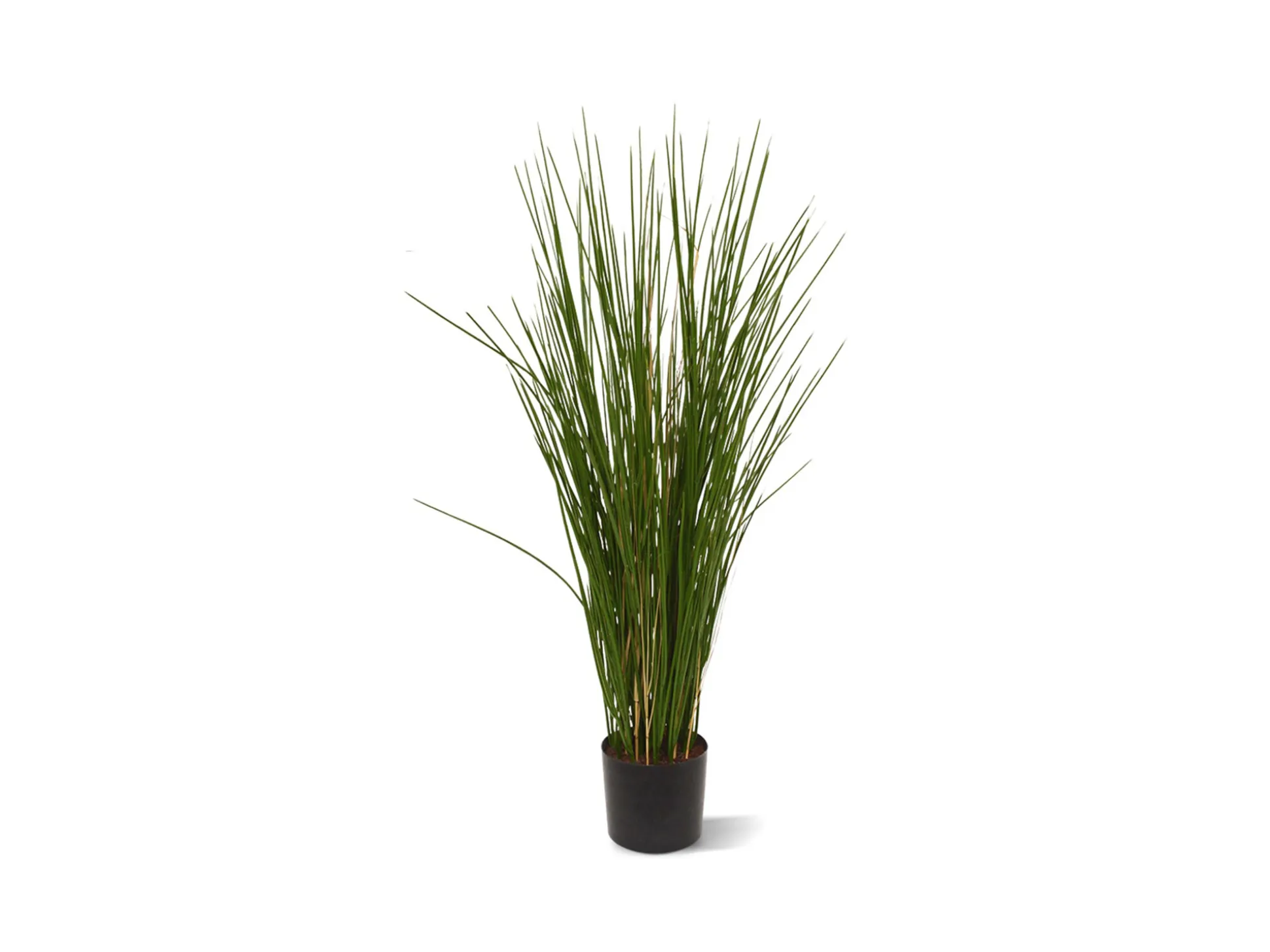 Designplants Gras kunstplant (h:80cm)