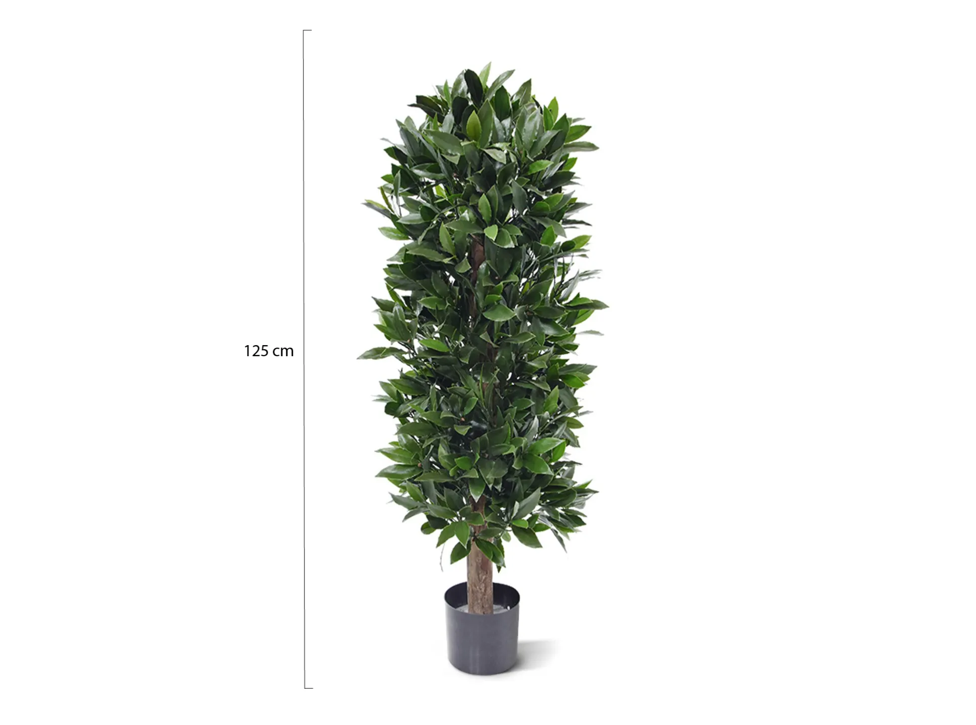 Designplants Laurier kolom kunstplant (h:125cm)