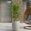 Designplants/Luca Lifestyle Japanse Bamboe kunstplant (h:120cm) met Grigio Tall Balloon bloempot