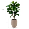 Designplants/Luca Lifestyle Lyrata Y kunstboom (h:130cm) met Bordo Tall Balloon bloempot