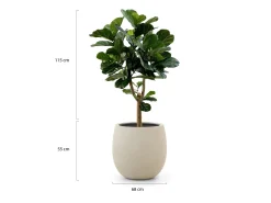Designplants/Luca Lifestyle Lyrata Y kunstboom (h:170cm) met Bordo Tall Balloon bloempot