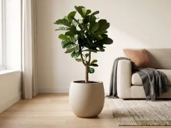 Designplants/Luca Lifestyle Lyrata Y kunstboom (h:170cm) met Bordo Tall Balloon bloempot