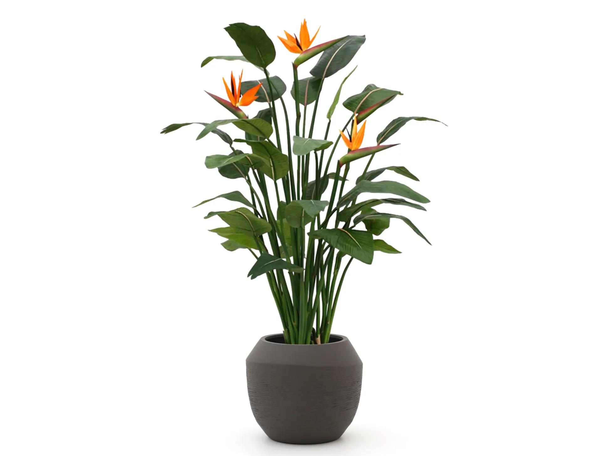 Designplants/Luca Lifestyle Strelitzia kunstplant (h:145cm) met Ruvido Combi bloempot