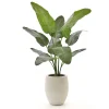 Designplants/Luca Lifestyle Strelitzia Nicolai kunstplant (h:145cm) met Grigio Tall Balloon bloempot