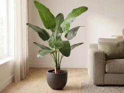 Designplants/Luca Lifestyle Strelitzia Nicolai kunstplant (h:145cm) met Terreno New Egg bloempot