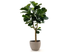 Designplants/Luca Lifestyle Lyrata Y kunstboom (h:170cm) met Ruvido Organic bloempot