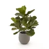 Designplants/Luca Lifestyle Lyrata kunstplant (h:45cm) met Bordo Balloon bloempot