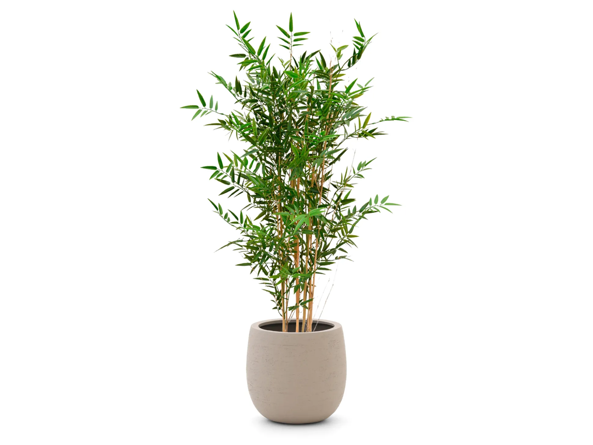 Designplants/Luca Lifestyle Japanse Bamboe kunstplant (h:120cm) met Terreno Balloon bloempot