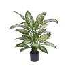 Designplants/Luca Lifestyle Dieffenbachia kunstplant (h:60cm) met Bordo Balloon bloempot