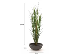 Designplants/Luca Lifestyle Rietgras kunstplant (h:165cm) met Terreno Bowl bloempot