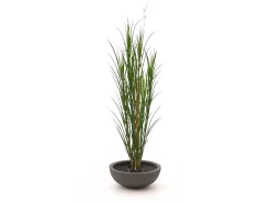 Designplants/Luca Lifestyle Rietgras kunstplant (h:165cm) met Terreno Bowl bloempot