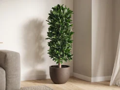 Designplants/Luca Lifestyle Laurier kolom kunstplant (h:125cm) met Terreno New Egg bloempot