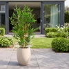 Designplants/Luca Lifestyle Japanse Bamboe kunstplant (h:90cm) met Grigio Tall Balloon bloempot