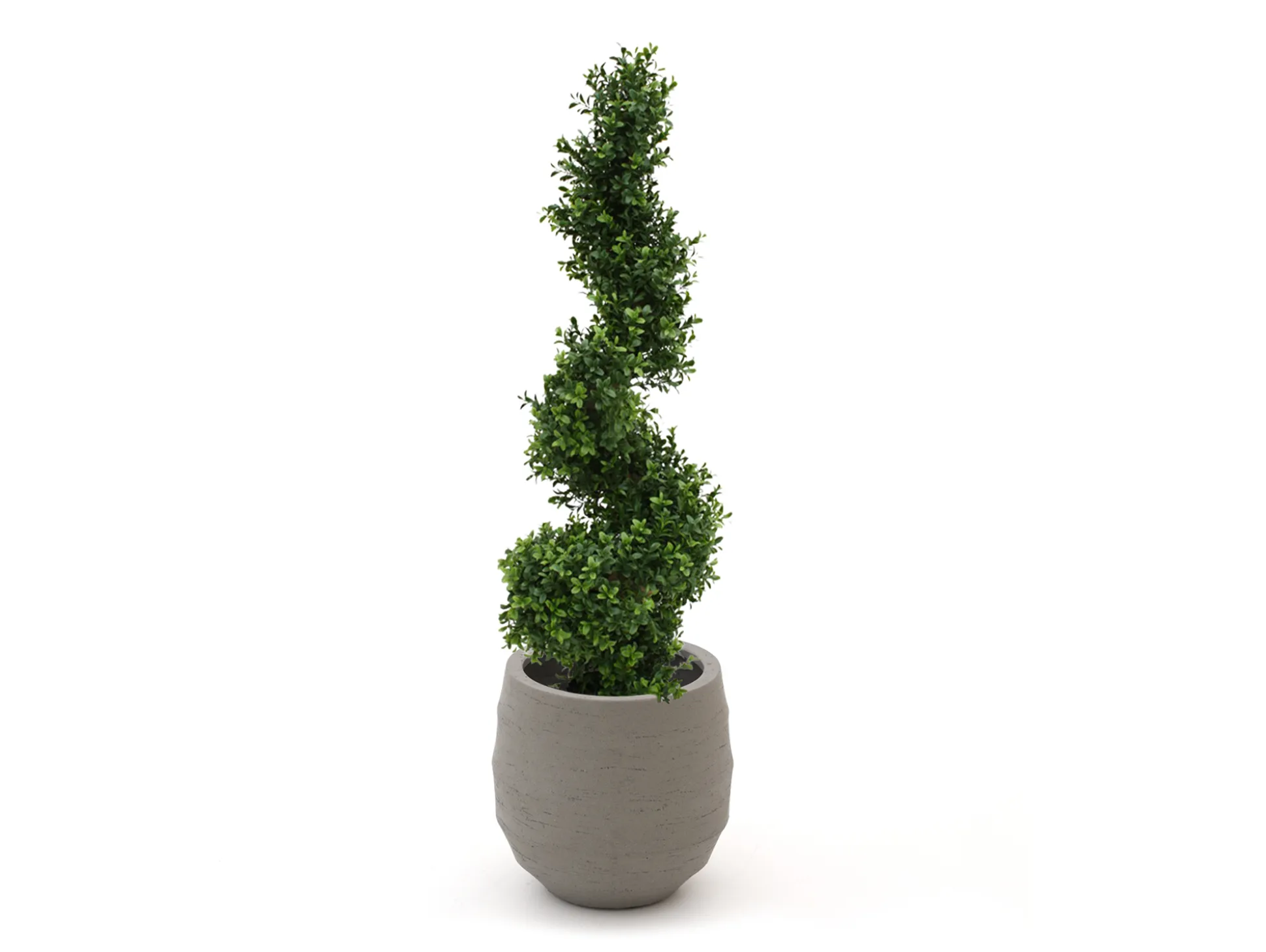 Designplants/Luca Lifestyle Buxus spiraal kunstboom (h:100cm) met Bordo Balloon bloempot