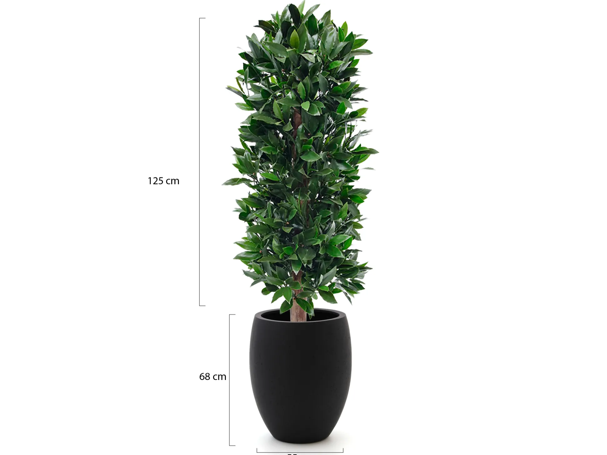 Designplants/Luca Lifestyle Laurier kolom kunstplant (h:125cm) met Grigio Tall Balloon bloempot