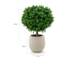 Designplants/Luca Lifestyle Buxus bol kunstplant (h:50cm) met Grigio Balloon bloempot
