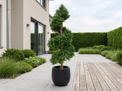 Designplants/Luca Lifestyle Buxus spiraal kunstboom (h:140cm) met Grigio Balloon bloempot