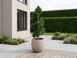 Designplants/Luca Lifestyle Buxus spiraal kunstboom (h:140cm) met Terreno Tall Balloon bloempot