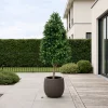 Designplants/Luca Lifestyle Buxus tower kunstplant (h:110cm) met Terreno Balloon bloempot