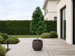 Designplants/Luca Lifestyle Buxus tower kunstplant (h:110cm) met Terreno Balloon bloempot