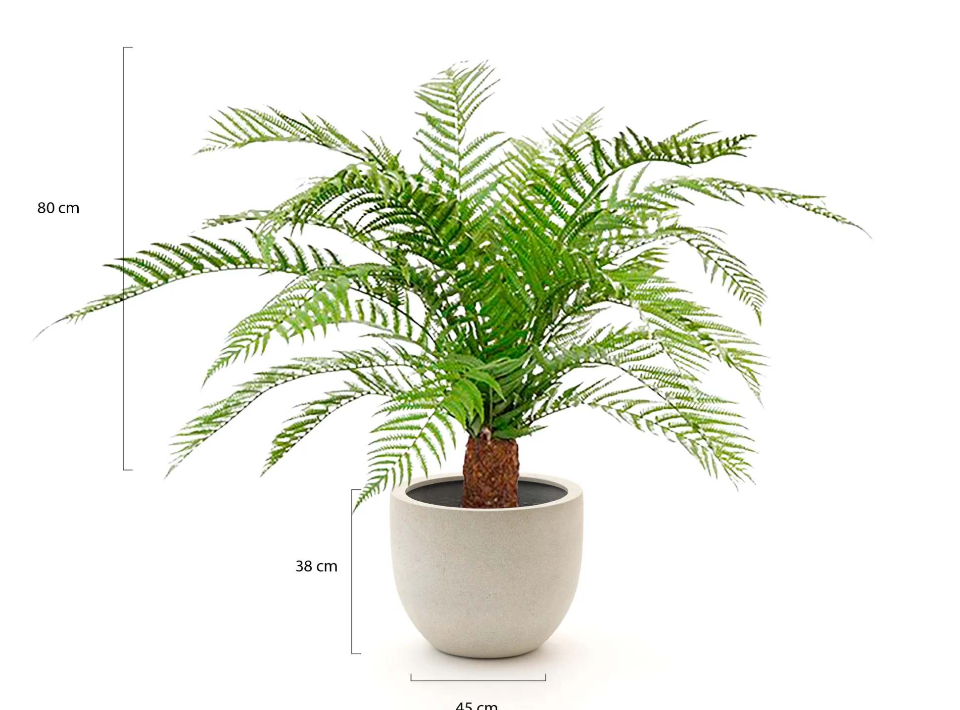 Designplants/Luca Lifestyle Alsophillia varen kunstplant (h:80cm) met Grigio New Egg bloempot