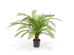 Designplants/Luca Lifestyle Alsophillia varen kunstplant (h:80cm) met Grigio New Egg bloempot
