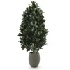 Designplants/Luca Lifestyle Laurier pyramide kunstplant (h:150cm) met Bordo Tall Balloon bloempot