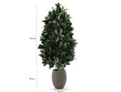 Designplants/Luca Lifestyle Laurier pyramide kunstplant (h:150cm) met Bordo Tall Balloon bloempot