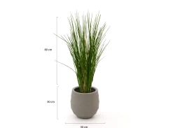Designplants/Luca Lifestyle Gras kunstplant (h:80cm) met Bordo Balloon bloempot