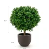 Designplants/Luca Lifestyle Buxus bol kunstplant (h:50cm) met Terreno New Egg bloempot