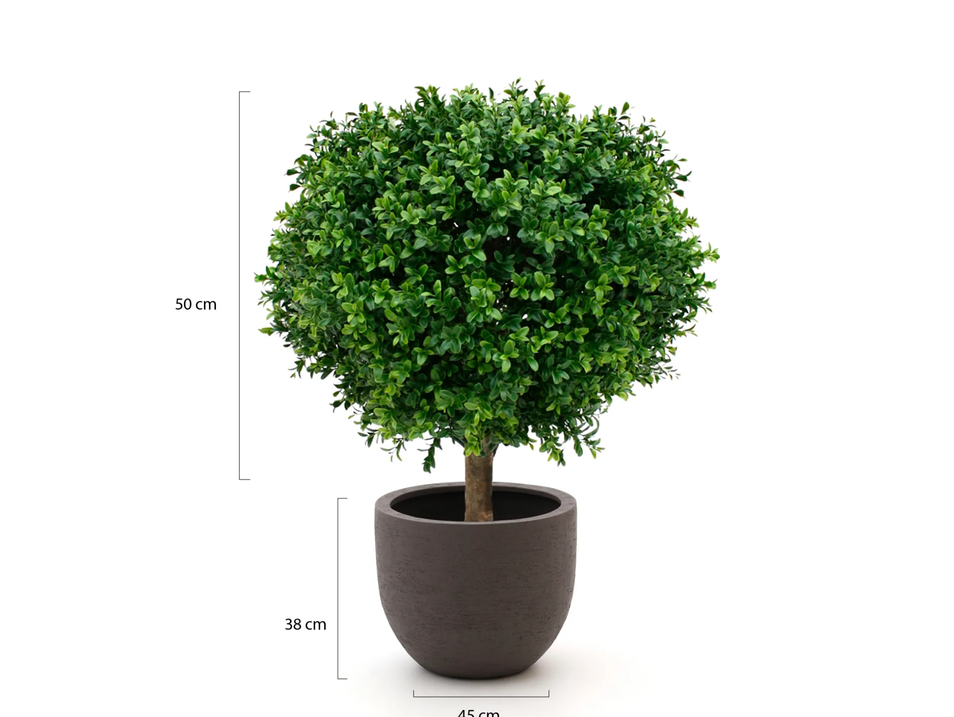 Designplants/Luca Lifestyle Buxus bol kunstplant (h:50cm) met Terreno New Egg bloempot
