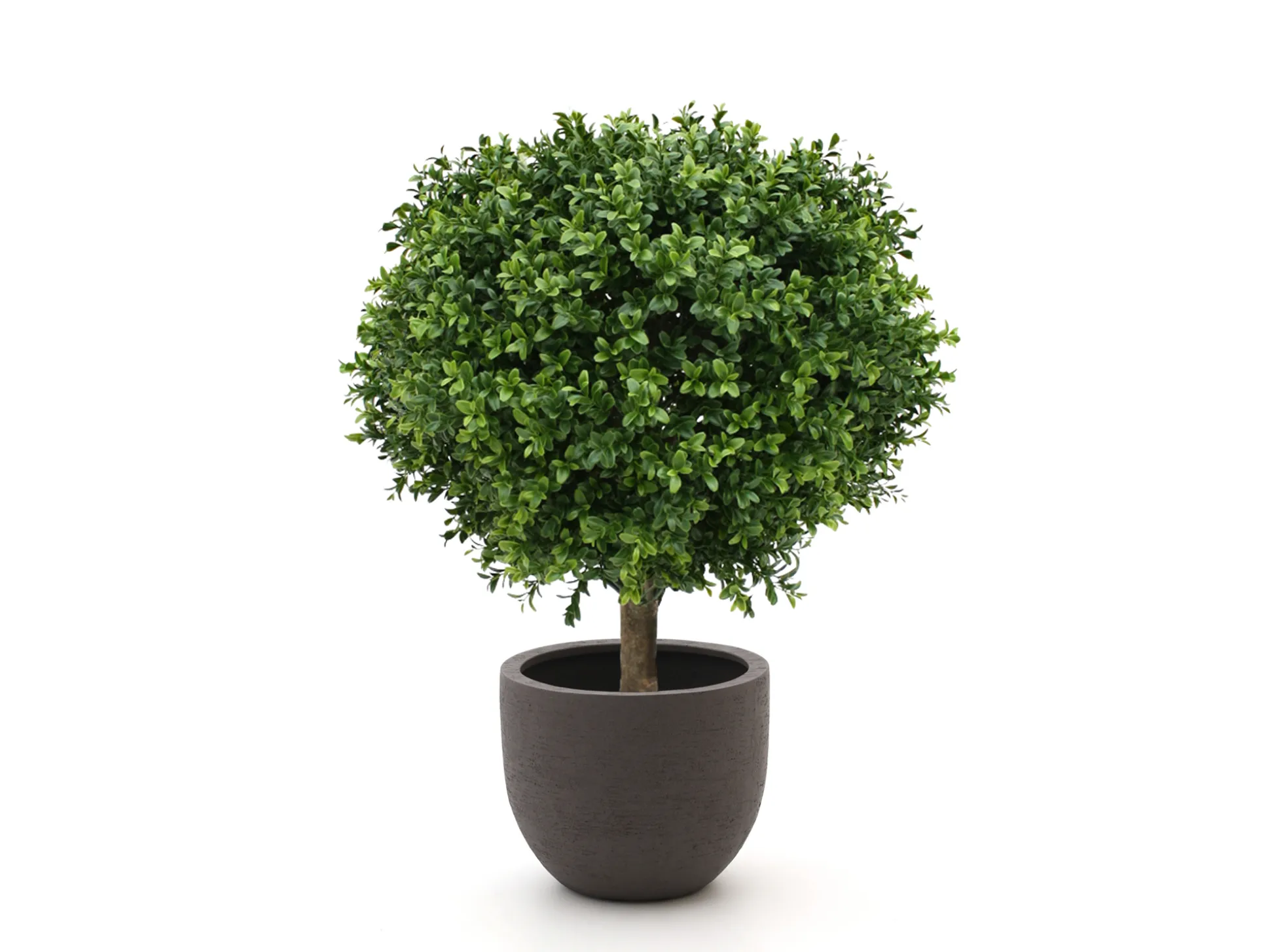 Designplants/Luca Lifestyle Buxus bol kunstplant (h:50cm) met Terreno New Egg bloempot