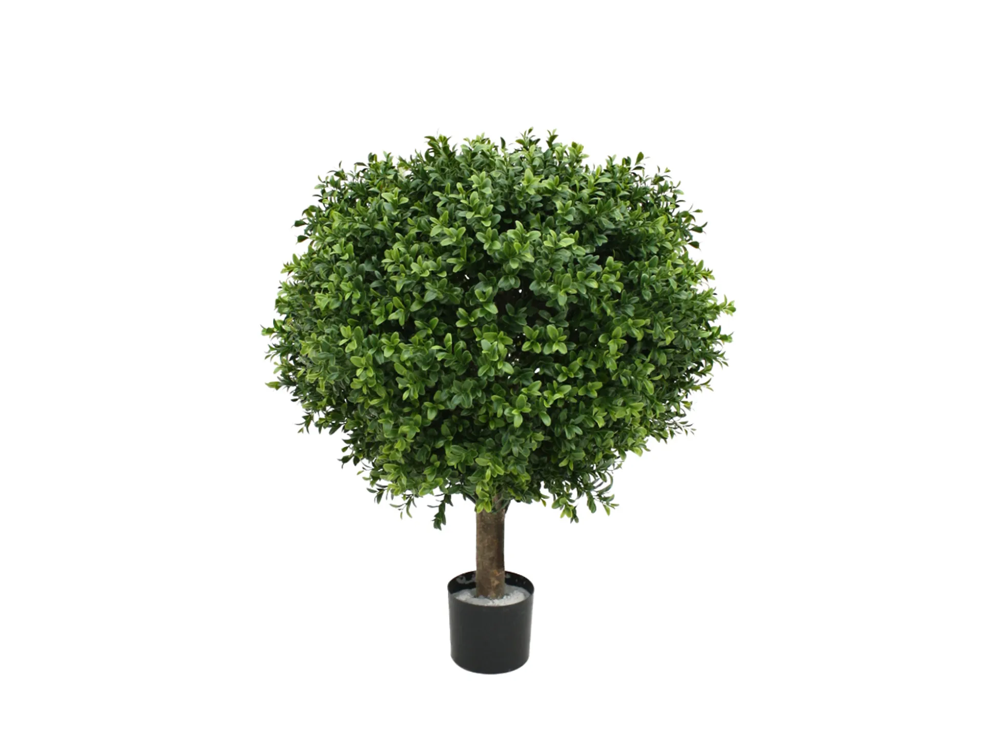 Designplants/Luca Lifestyle Buxus bol kunstplant (h:50cm) met Terreno New Egg bloempot