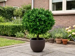 Designplants/Luca Lifestyle Buxus bol kunstplant (h:50cm) met Terreno New Egg bloempot