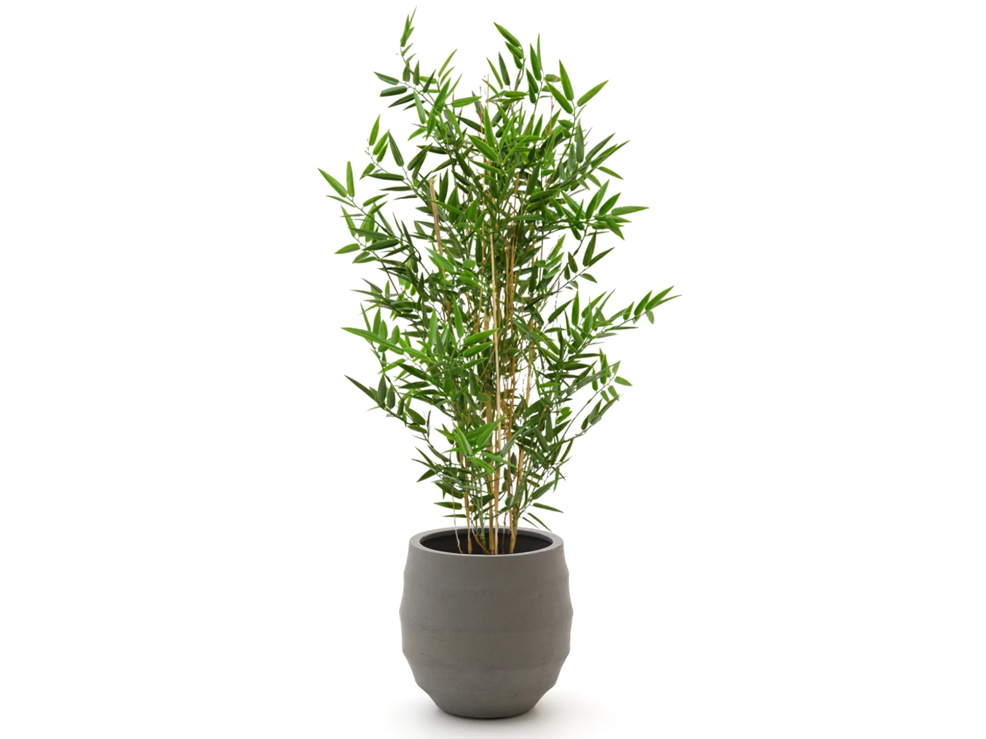 Designplants/Luca Lifestyle Japanse Bamboe kunstplant (h:90cm) met Bordo Balloon bloempot