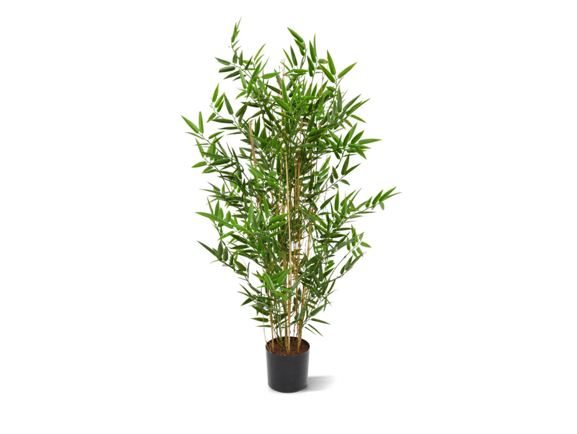 Designplants/Luca Lifestyle Japanse Bamboe kunstplant (h:90cm) met Bordo Balloon bloempot