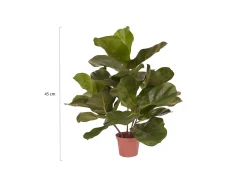 Designplants Lyrata kunstplant (h:45cm)