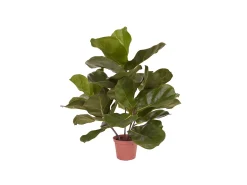 Designplants Lyrata kunstplant (h:45cm)